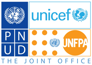 Joint Office HIRES UNICEF PNUD Joint Office HIRES UNICEF PNUD